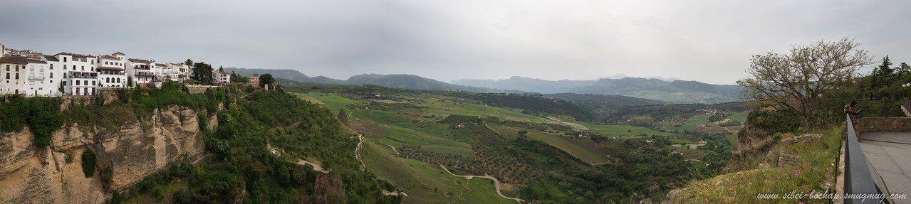 DSC_9452-X2.jpg