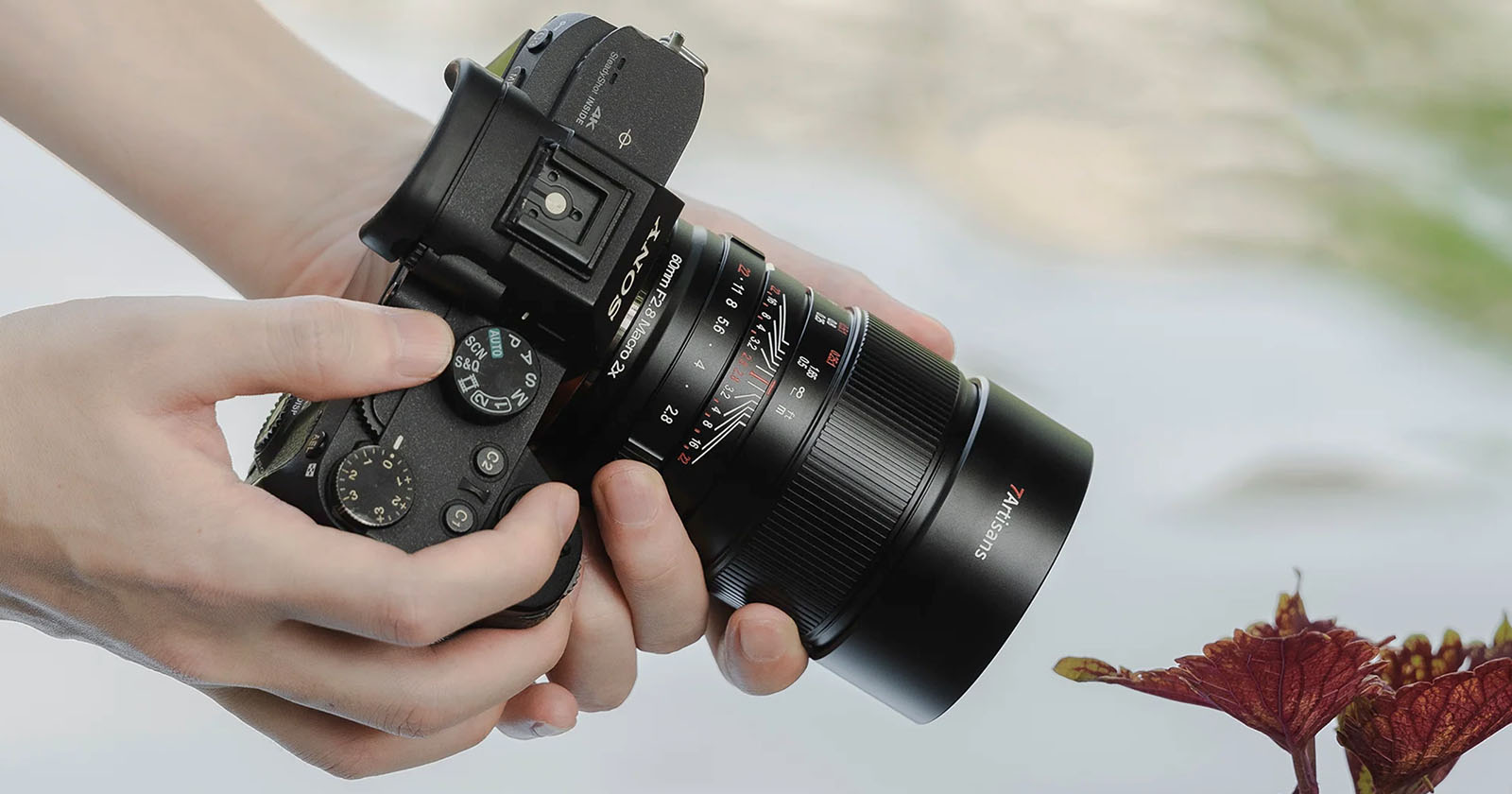 A person holding a black Olympus camera and focusing on a red leaf. The camera's dials and zoom lens are clearly visible. The background is blurred, emphasizing the camera and the leaf in the foreground.