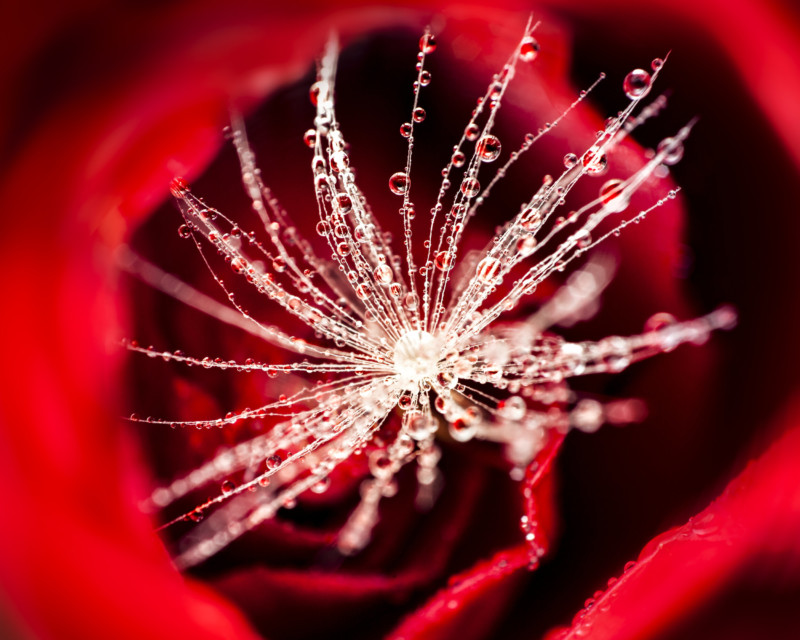 refracted_2-800x640.jpg