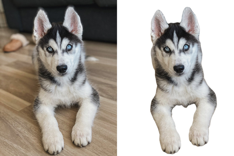 Copy-of-Husky-Before_After-copy-800x534.jpg