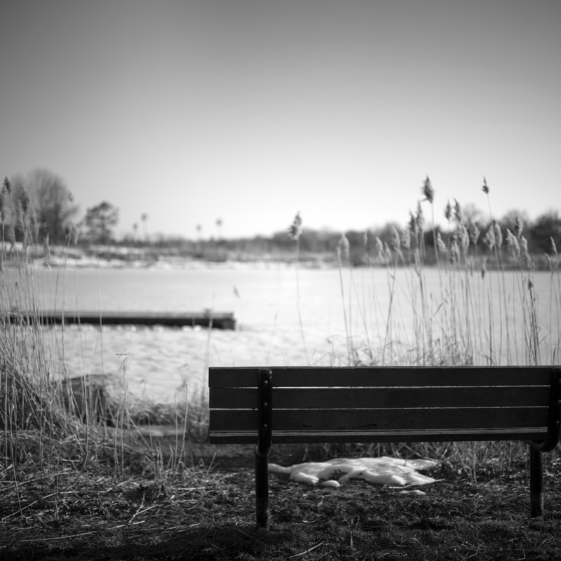 Pic103-Stitched-B_W-800x800.jpg