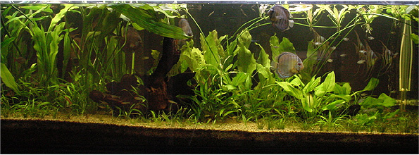 tank2_foyer.jpg