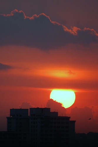 2631027594_7b0050f374.jpg