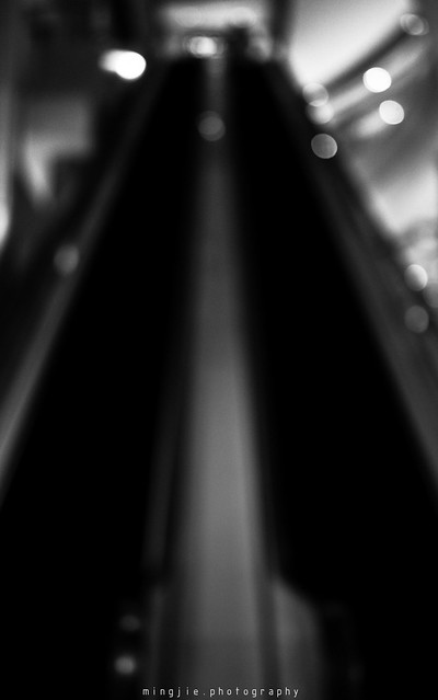 5460793109_4972066274_z.jpg