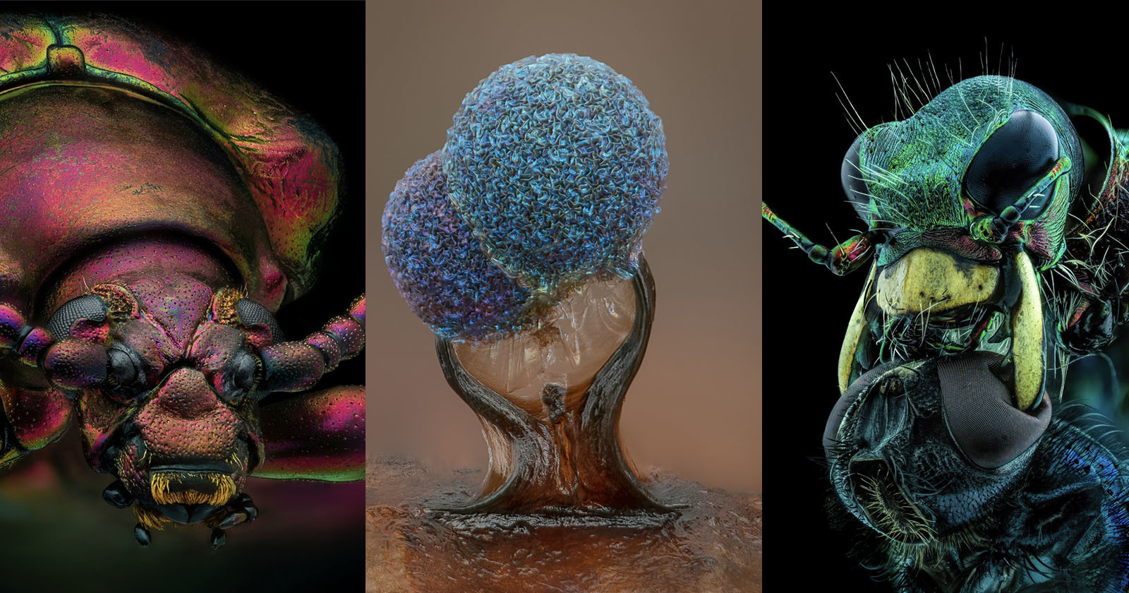 Small World Contest