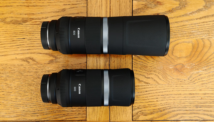 Should You Buy Canon's RF 600mm f/11 or RF 800mm f/11 Lens?