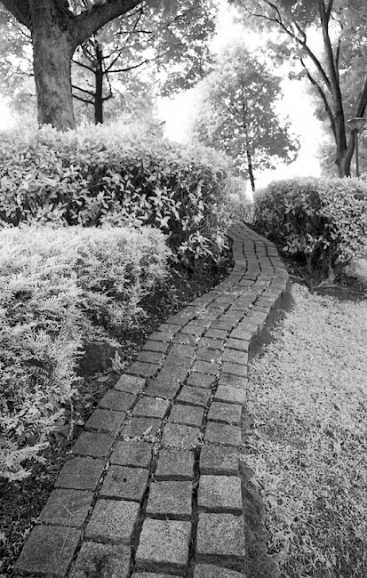 img010.jpg