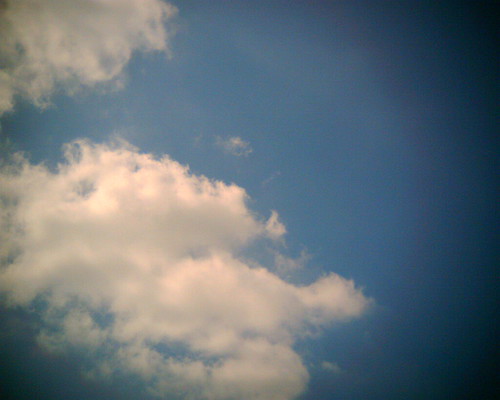 3210978049_776425c973.jpg