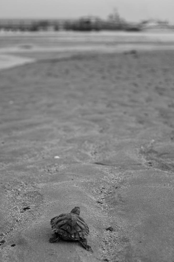 Youve_come_a_long_way_baby_by_Draken413o.jpg