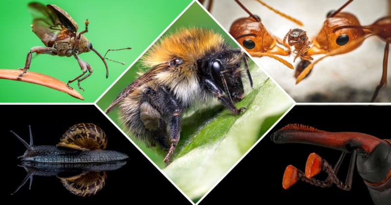 bugawards_feat-800x420.jpg