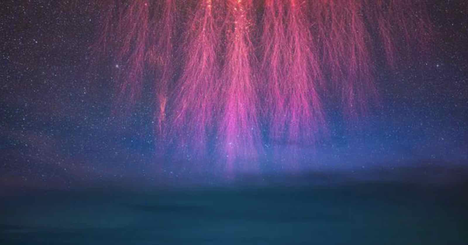 A vibrant display of red sprites in the night sky, appearing as pink and red streaks descending from the stars over a dark, cloudy horizon. The phenomenon creates a mystical and ethereal atmosphere.