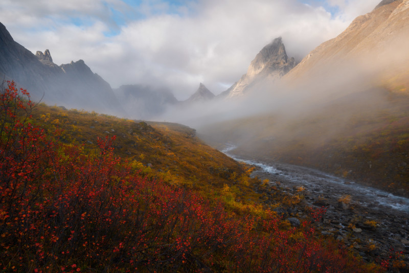 The-Clearing-800x534.jpg