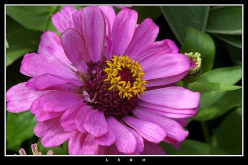 2266797628_a639715ace.jpg