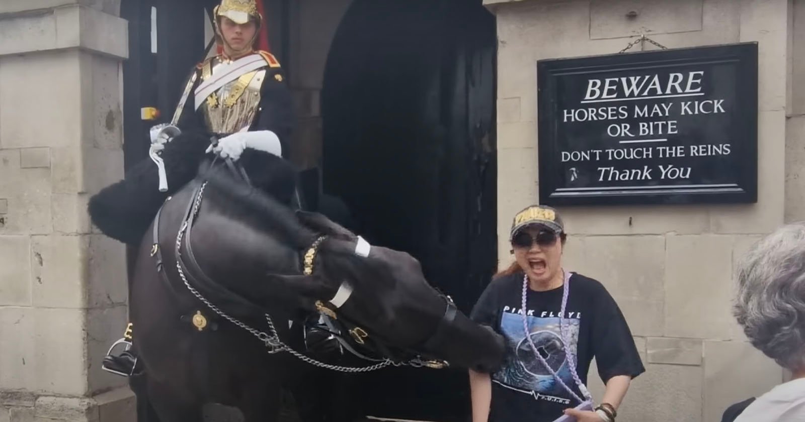 A woman in a cap and sunglasses looks alarmed as a horse bends its head towards her, with a mounted guard in ceremonial uniform in the background. A sign on the building reads, BEWARE HORSES MAY KICK OR BITE. DON'T TOUCH THE REINS. Thank You.