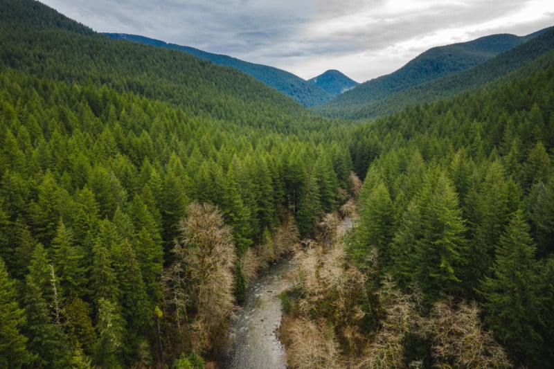 Aerial photo of a river through a forest