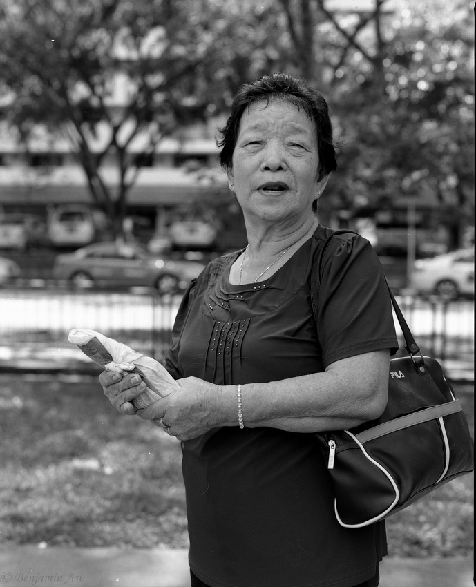 p233361121-5.jpg