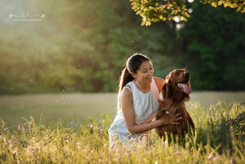 dog19-800x534.jpeg