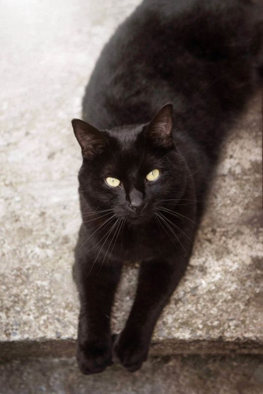 Clochette-8631-534x800.jpg