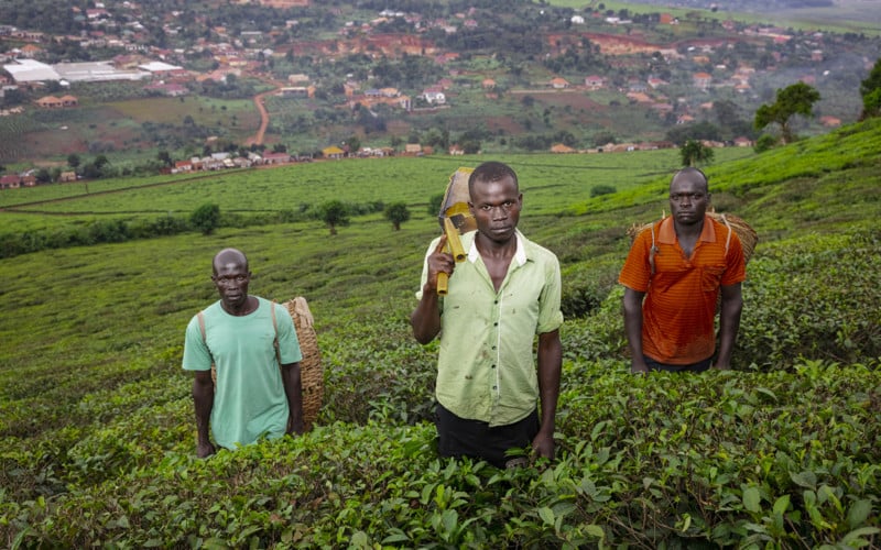 MJP-Uganda-Website-2689-800x500.jpg