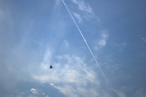 252043779_4326857aac.jpg
