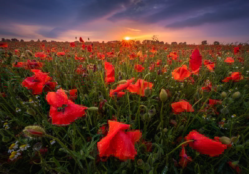 Focusstack1-800x560.jpg