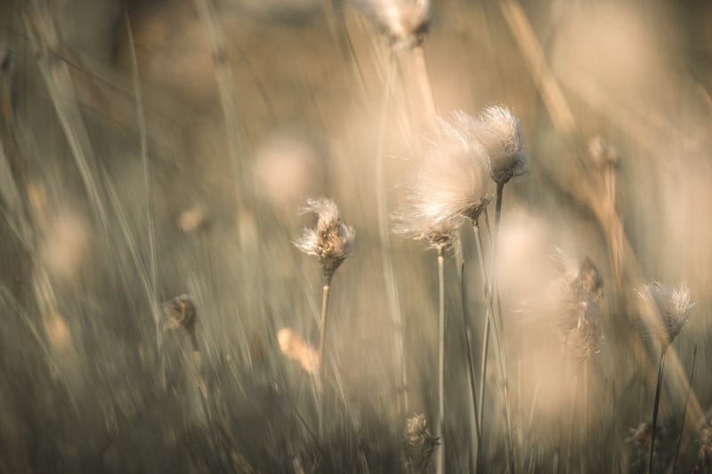 Impactful-images-5-800x533.jpg