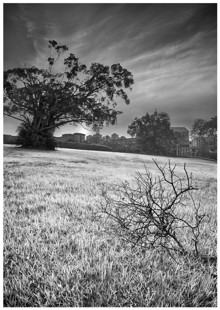 woodleigh_plains_by_draken413o-d5fqb5a.jpg