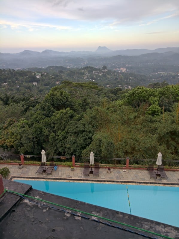 balconyViewPlantsandShed-598x800.jpg