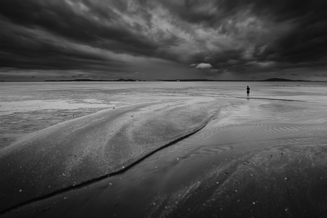 in_search_of_punctum_by_draken413o-d56l5ra.jpg