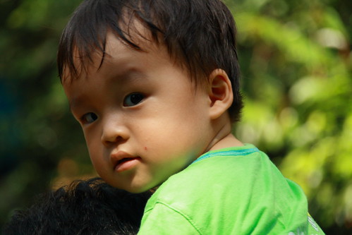3337025755_454aac19cf.jpg