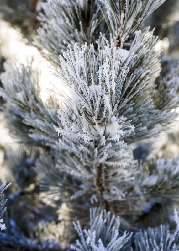 Winter_Photography_01-571x800.jpg