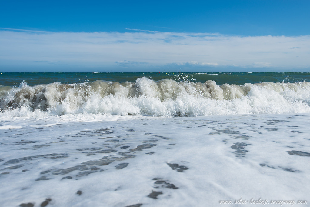 DSC_9700-XL.jpg