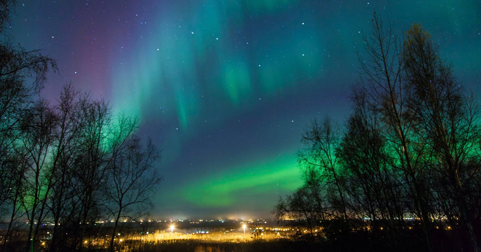 Aurora borealis, or northern lights, illuminate the night sky with vibrant green and subtle pink hues. Stars are visible, and the landscape below shows a town with lit buildings, framed by silhouettes of leafless trees.