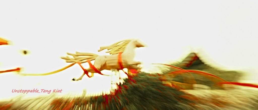 12411600755_952e33ab10_b.jpg