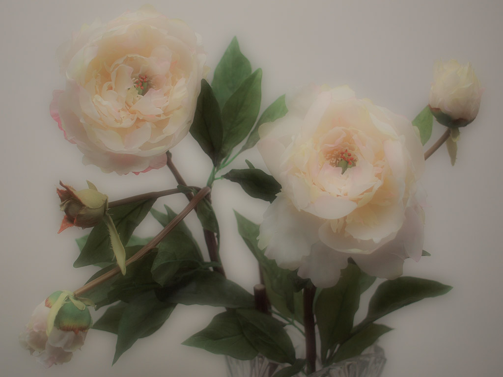 3528919972_6f16e0b709_o.jpg