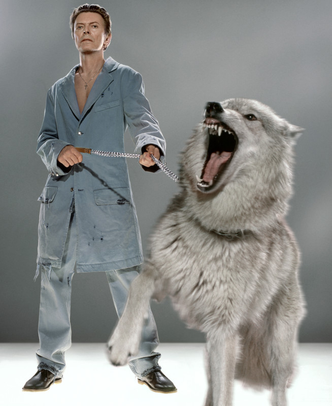 THEPROTECTOR_KLINKO-654x800.jpg