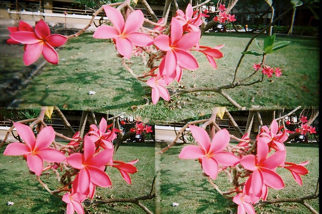 5960340635_a4dc3731db_z.jpg