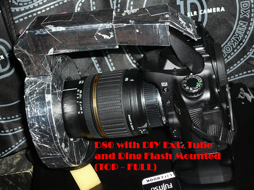 3406290013_34ae65cc04.jpg
