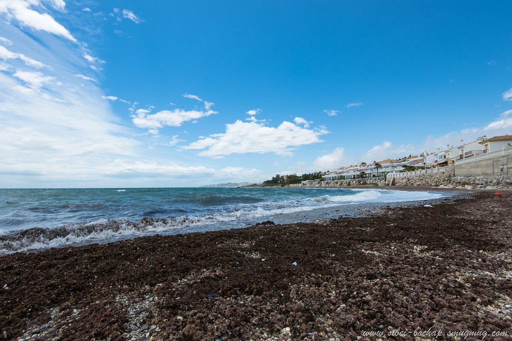 DSC_9657-XL.jpg