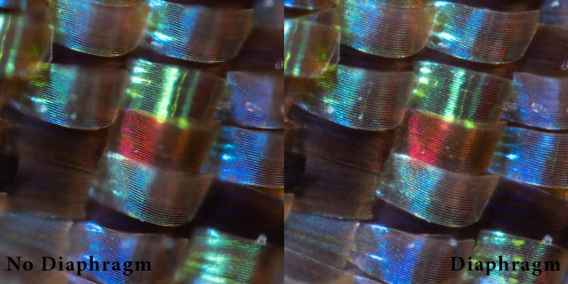 mitutoyo-10x-test-800x400.jpg