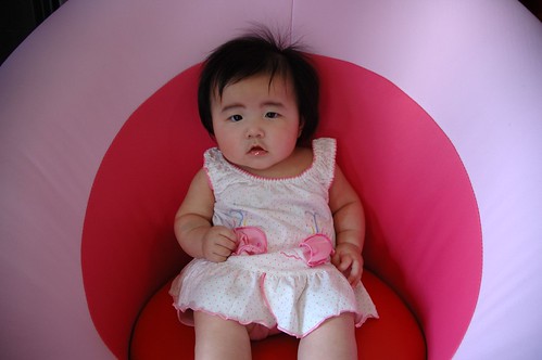 2254009279_0a3cb1ccbe.jpg