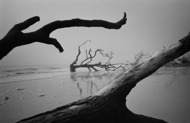 Leica-M4_5-800x518.jpg