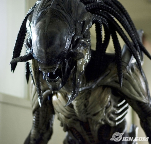 predalien2finalyg3.jpg