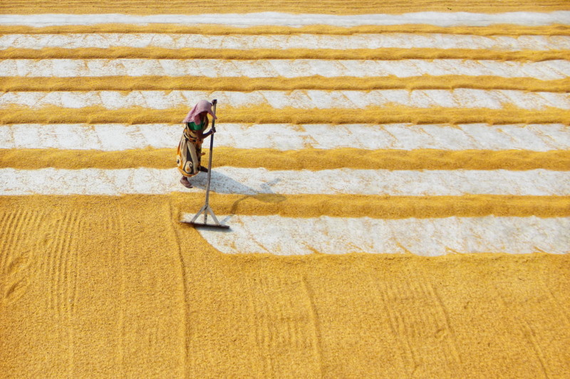rural-india-travel-roy-petapixel-7-800x533.jpeg