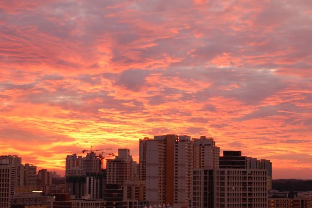 DSC_0096.jpg