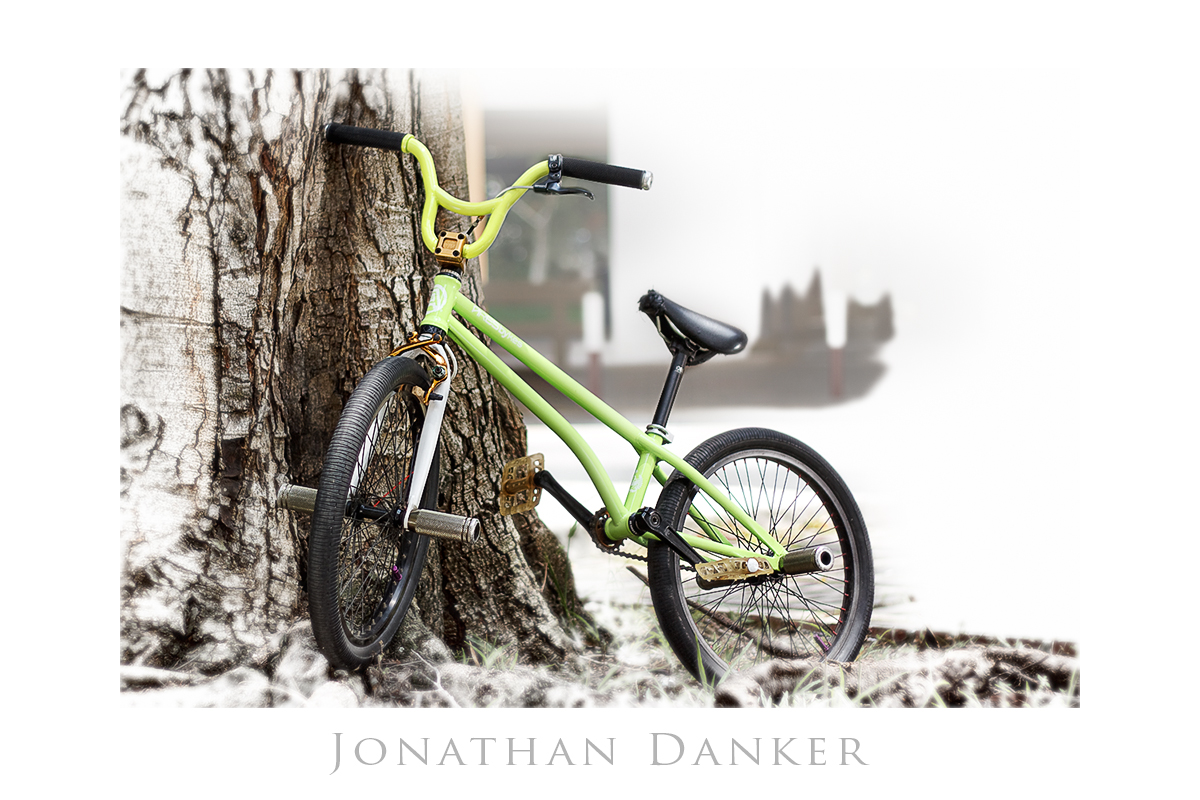Spring_In_Winter_by_Draken413o.jpg