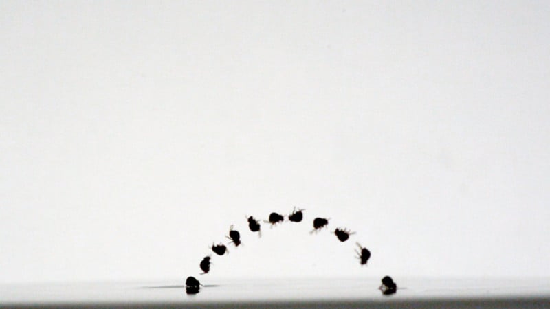 still-sequence-2-800x450.jpg