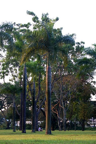 2716641609_dbf3674082.jpg