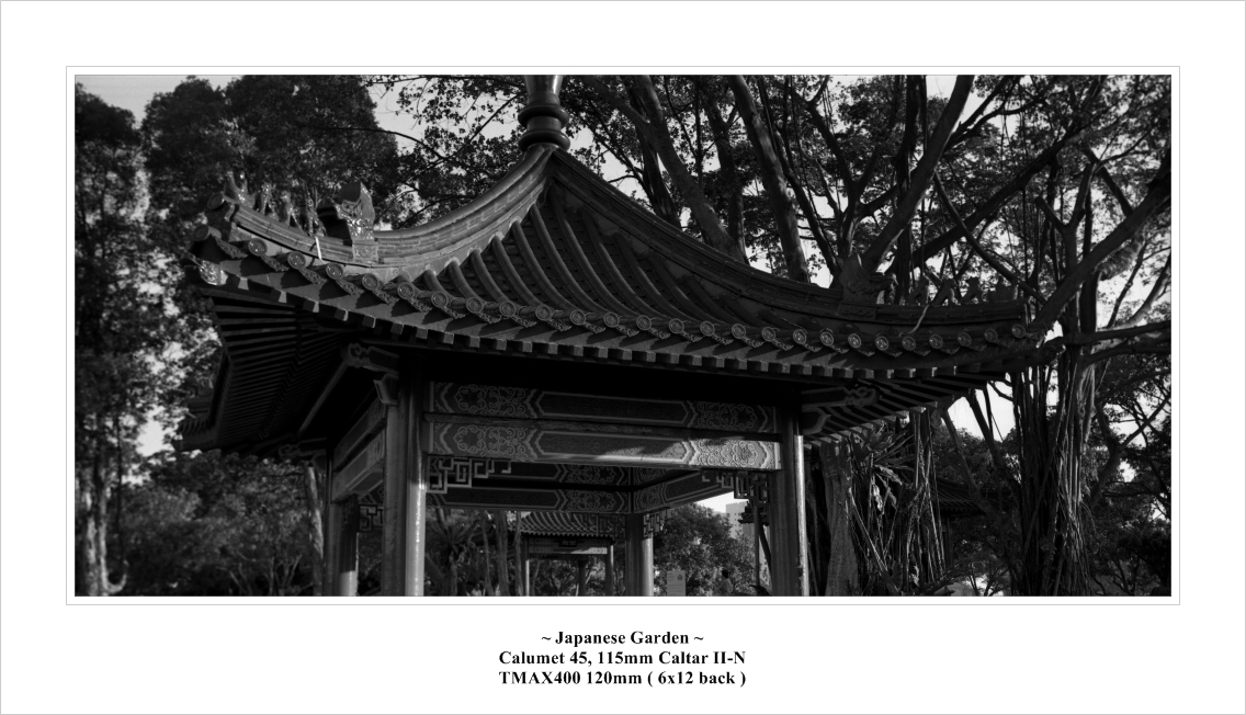 chinese001s.jpg