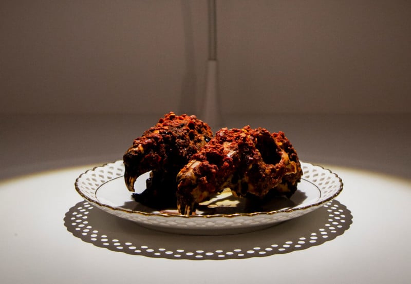 Spicy-Rabbit-Heads-1-800x554.jpg